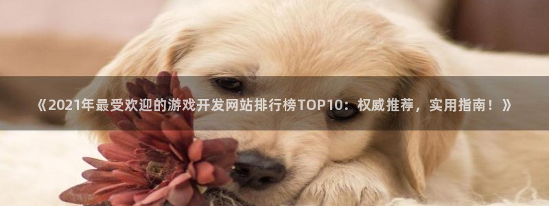 《2021年最受欢迎的游戏开发网站排行榜
