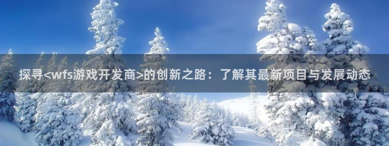 探寻<wfs游戏开发商>的创新之路：了解