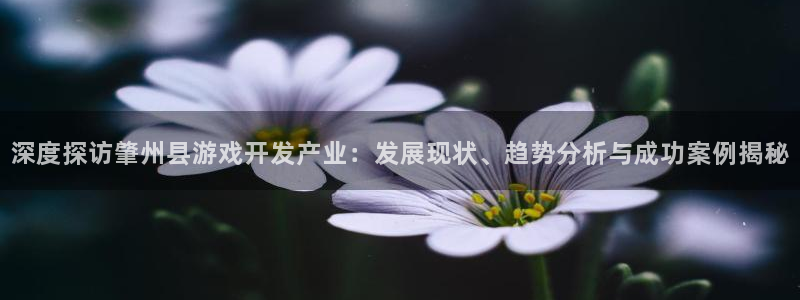 深度探访肇州县游戏开发产业：发展现状、趋