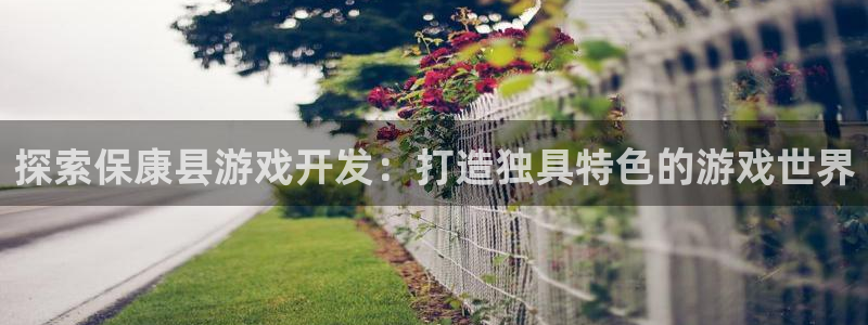 探索保康县游戏开发：打造独具特色的游戏世