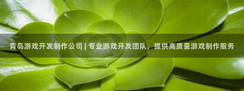 青岛游戏开发制作公司 | 专业游戏开发团
