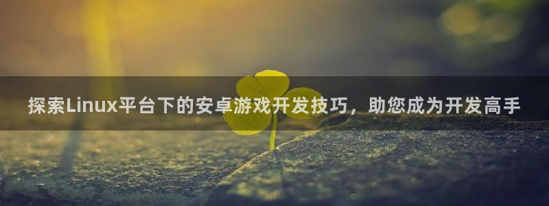 沐鸣娱乐平台大不大：探索Linux平台下