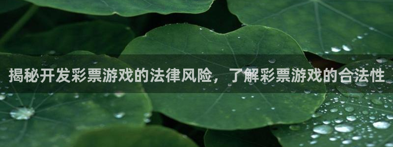 沐鸣科技做的游戏怎么样：揭秘开发彩票游戏