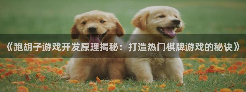 沐鸣平台注册资金多少钱：《跑胡子游戏开发