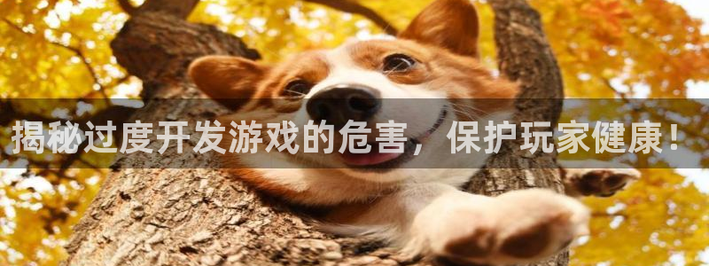 沐鸣平台~53866：揭秘过度开发游戏的