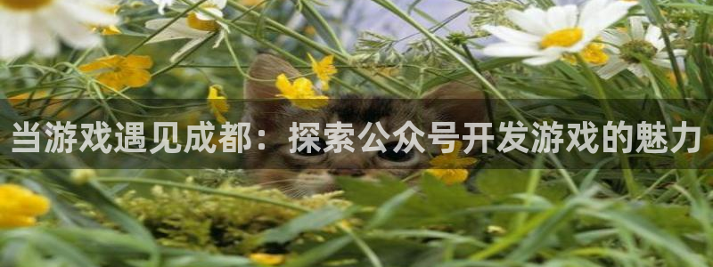 沐鸣科技有哪些产品可以买：当游戏遇见成都
