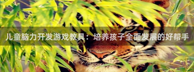 沐鸣娱乐官方平台：儿童脑力开发游戏教具：