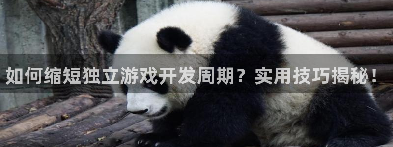 沐鸣娱乐注册登录平台：如何缩短独立游戏开