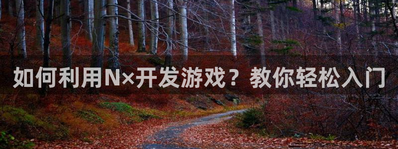 沐鸣科技有限公司官网：如何利用N×开发游