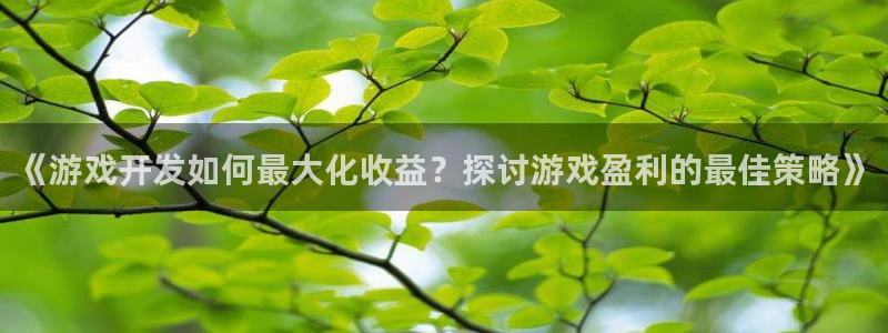 沐鸣官网登录：《游戏开发如何最大化收益？