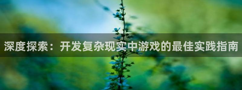 沐鸣3注册登录：深度探索：开发复杂现实中