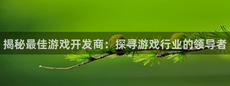 沐鸣娱乐注册平台怎么样：揭秘最佳游戏开发