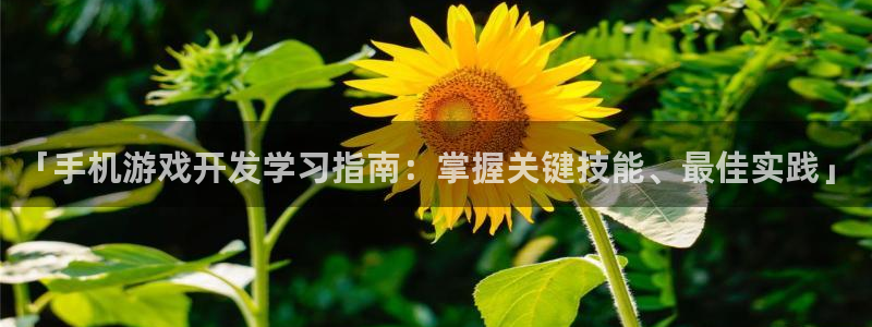 沐鸣注册登陆：「手机游戏开发学习指南：掌