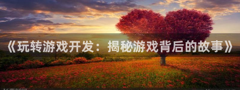 沐鸣娱乐二：《玩转游戏开发：揭秘游戏背后
