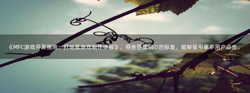 沐鸣登录网址是什么：《MFC游戏开发指南