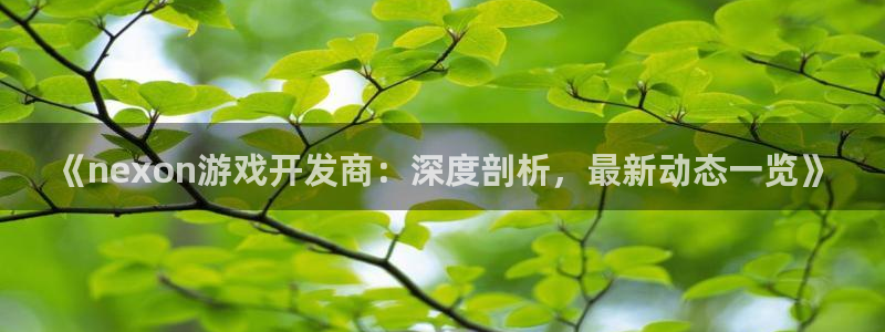 沐鸣网址注册：《nexon游戏开发商：深