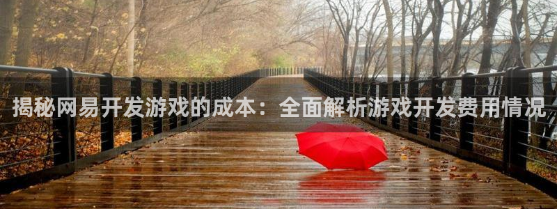 沐鸣注册登陆：揭秘网易开发游戏的成本：全
