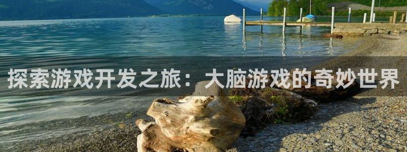 沐鸣app：探索游戏开发之旅：大脑游戏的