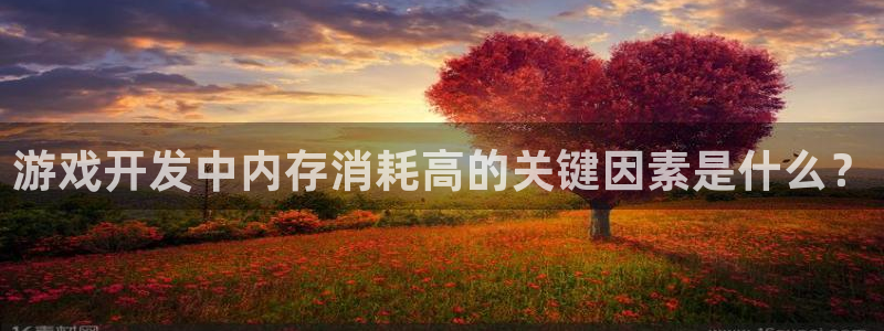 沐鸣科技怎么样：游戏开发中内存消耗高的关