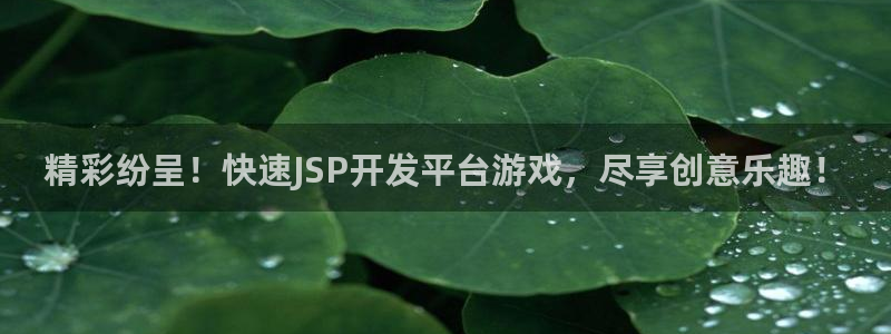 沐鸣科技怎么样：精彩纷呈！快速JSP开发