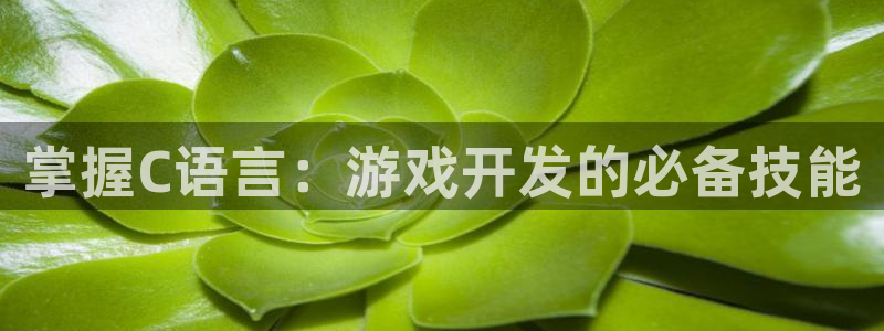 沐鸣娱乐平台登录入口官网：掌握C语言：游