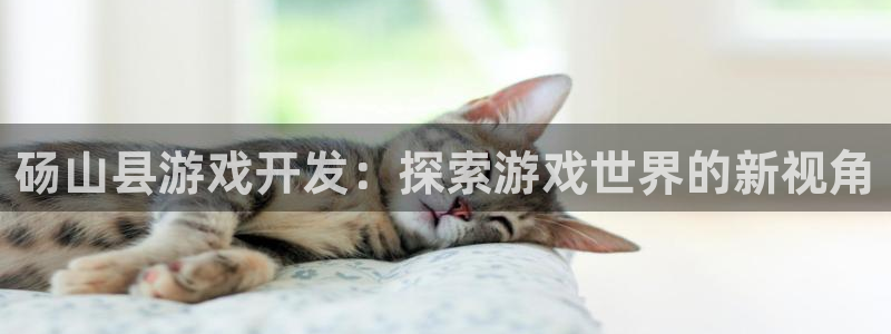 沐鸣平台官网登录：砀山县游戏开发：探索游