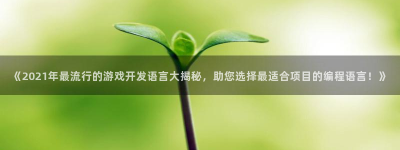 沐鸣代理注册：《2021年最流行的游戏开