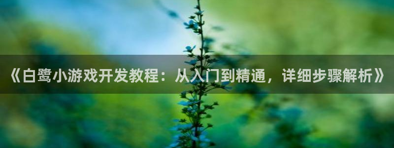 沐鸣游戏~53866：《白鹭小游戏开发教