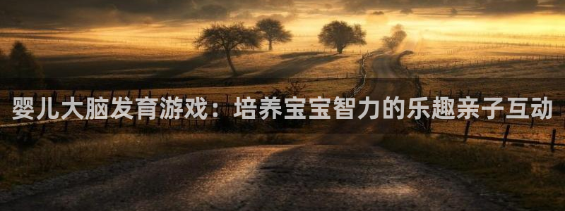 沐鸣代理：婴儿大脑发育游戏：培养宝宝智力