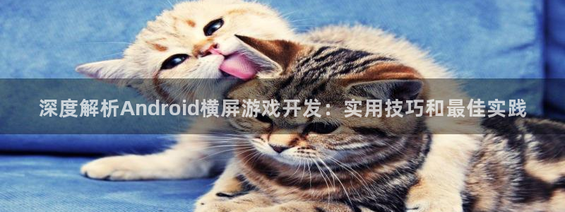 沐鸣在线登录官网：深度解析Android