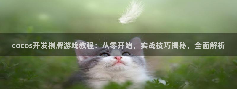 沐鸣平台注册资金多少：cocos开发棋牌