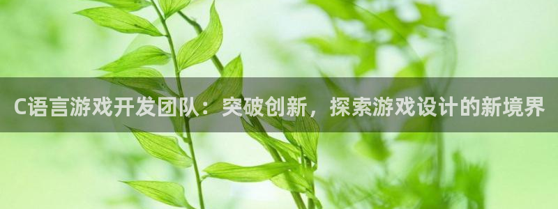 沐鸣科技有哪些产品卖：C语言游戏开发团队