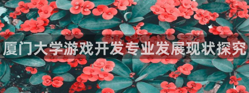 沐鸣平台怎么样：厦门大学游戏开发专业发展