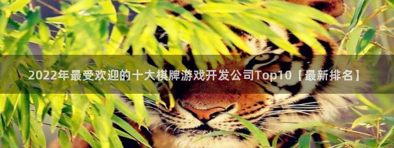 沐鸣平台注册：2022年最受欢迎的十大棋