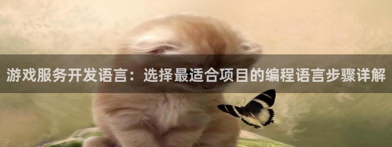 沐鸣网址：游戏服务开发语言：选择最适合项