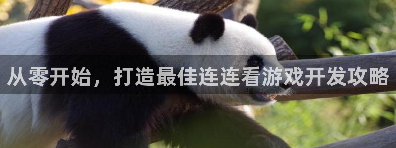 沐鸣娱乐代理在线注册链接：从零开始，打造