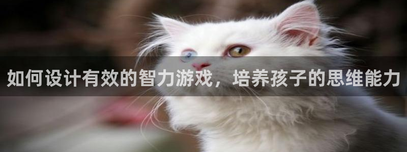 沐鸣科技有限公司：如何设计有效的智力游戏