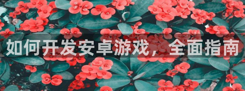 沐鸣娱乐为什么上不去了：如何开发安卓游戏