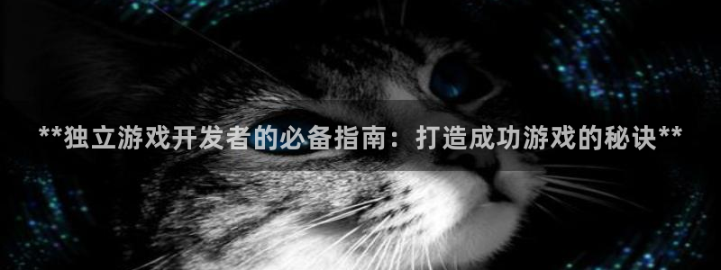 沐鸣平台怎么样：**独立游戏开发者的必备