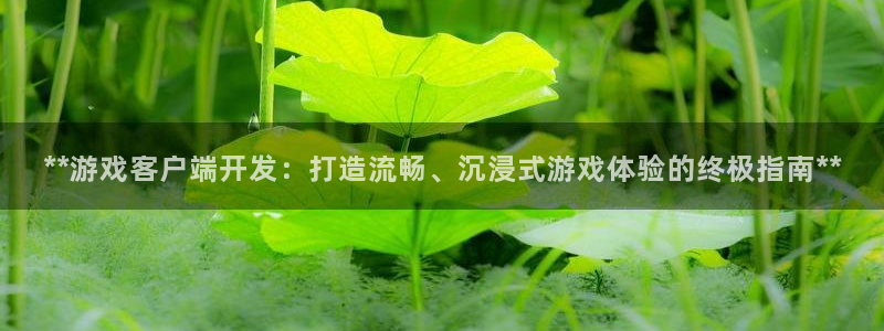 沐鸣娱乐靠谱吗：**游戏客户端开发：打造
