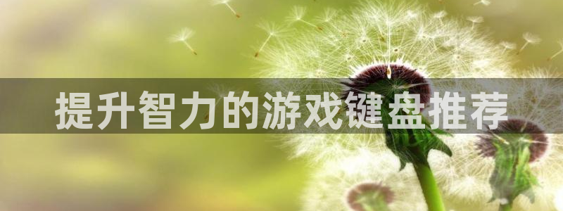 沐鸣科技有限公司官网招聘：提升智力的游戏