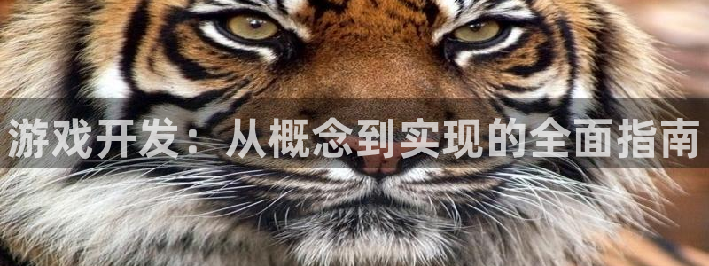 沐鸣1在线登陆：游戏开发：从概念到实现的