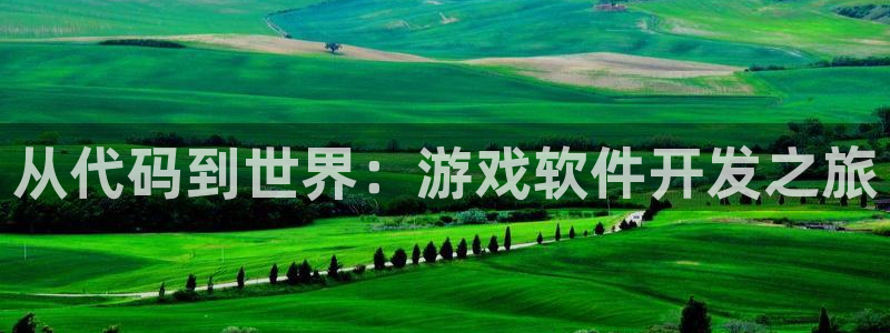 沐鸣娱乐注册登录平台官网：从代码到世界：