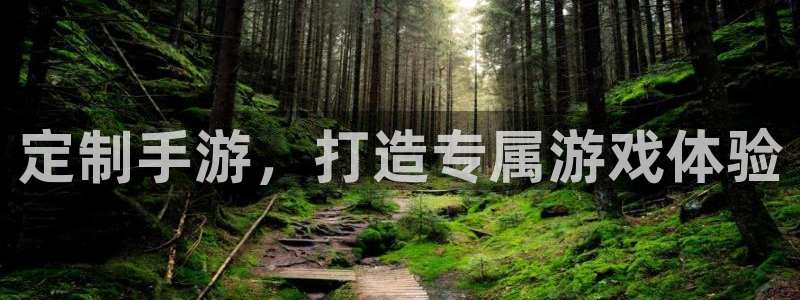 沐鸣娱乐app：定制手游，打造专属游戏体
