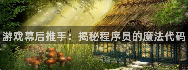 沐鸣3注册登录：游戏幕后推手：揭秘程序员