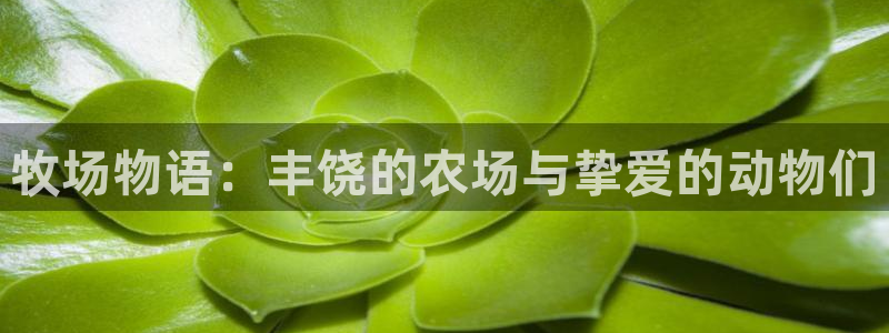 沐鸣娱乐二：牧场物语：丰饶的农场与挚爱的