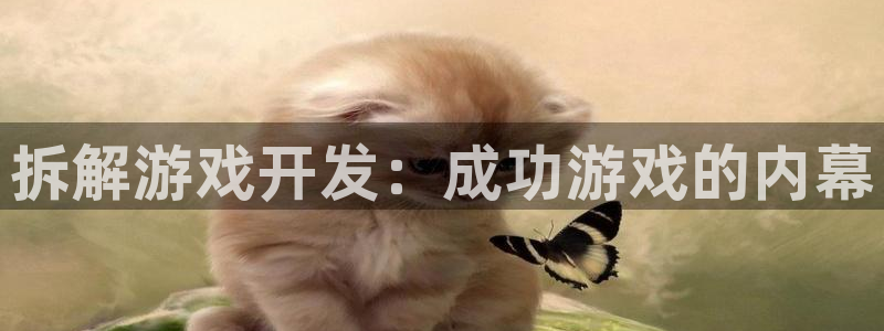 沐鸣科技做的游戏有哪些：拆解游戏开发：成