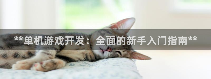 沐鸣在线登录：**单机游戏开发：全面的新