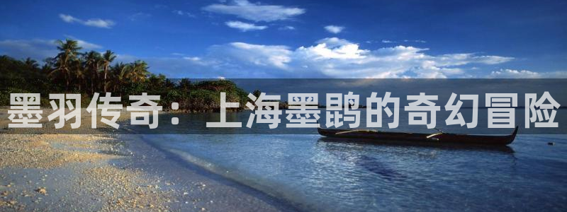 沐鸣科技游戏app：墨羽传奇：上海墨鹍的