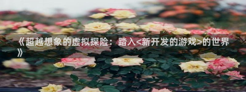 沐鸣平台代理注册：《超越想象的虚拟探险：